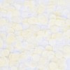 https://joypartyb2b.co.kr/data/item/73016/thumb-bubbleconfertti_ivory_800_100x100.jpg