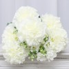 https://joypartyb2b.co.kr/data/item/81267/thumb-IMG_0421_100x100.jpg